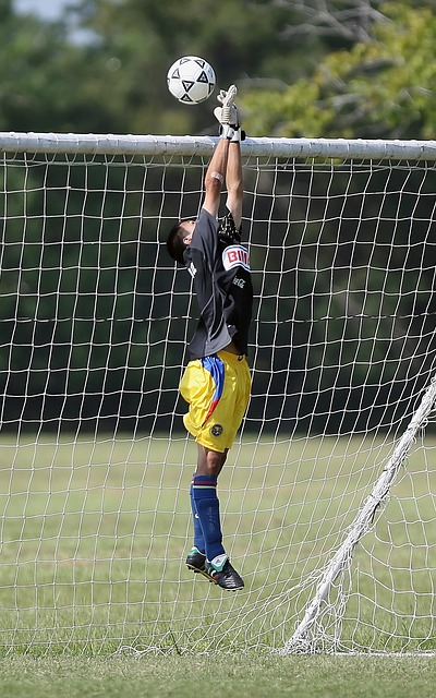 苏巴马廉 苏巴马廉