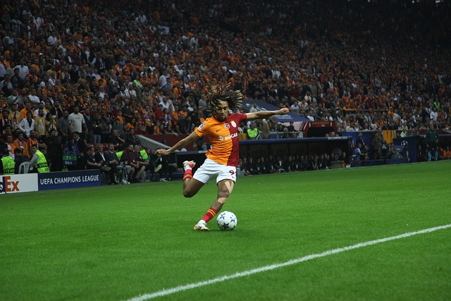 赛车迷们可 赛车迷们可