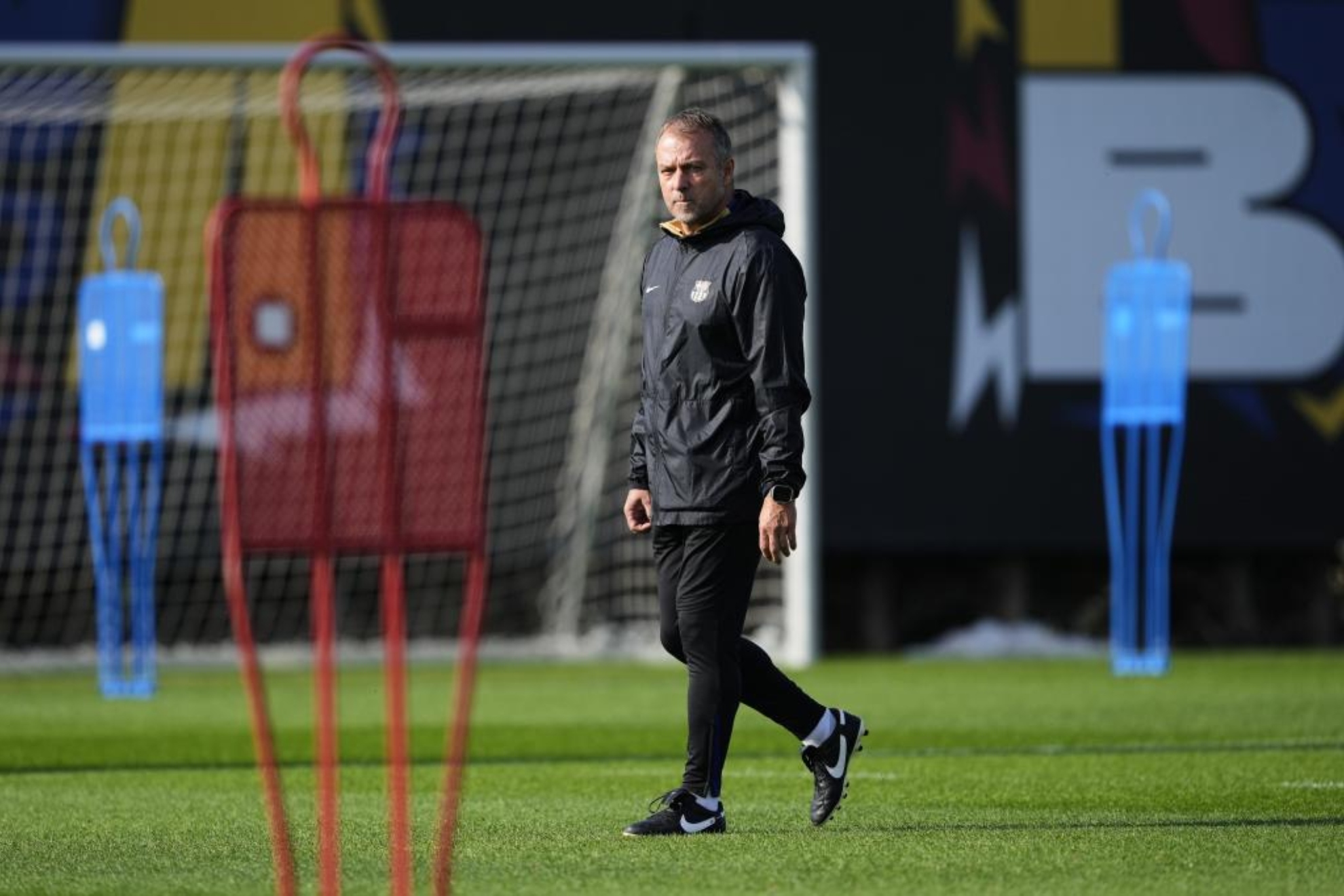 已成为北美 已成为北美