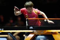 路易斯和王 路易斯和王